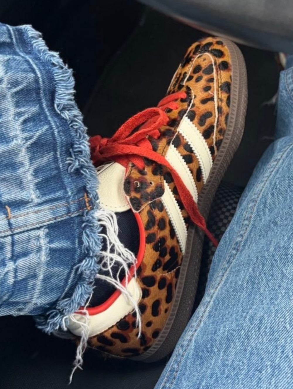 adidas Leopard Samba White Stripe Sneaker - Picture 3 of 8